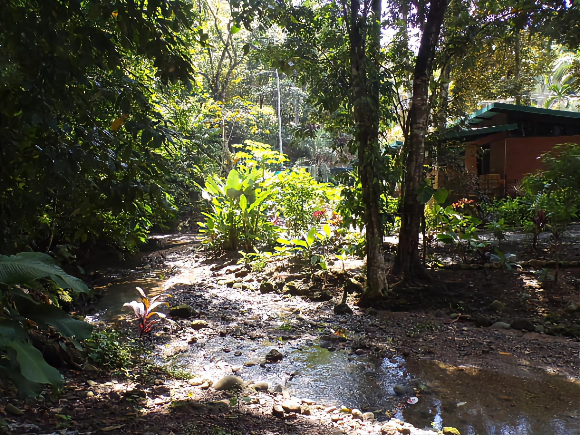 Riverside Villas Manuel Antonio Exterior foto