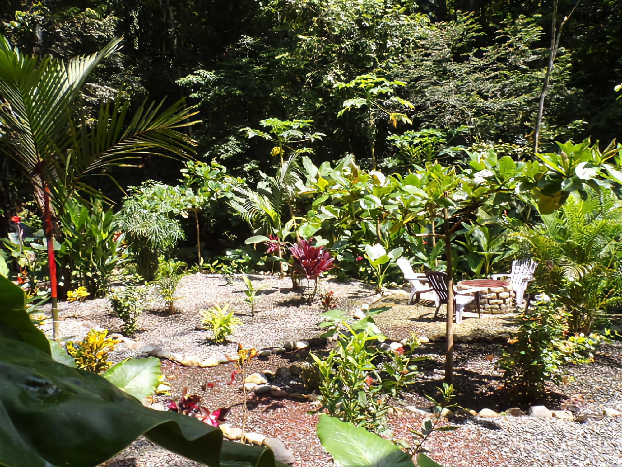 Riverside Villas Manuel Antonio Exterior foto